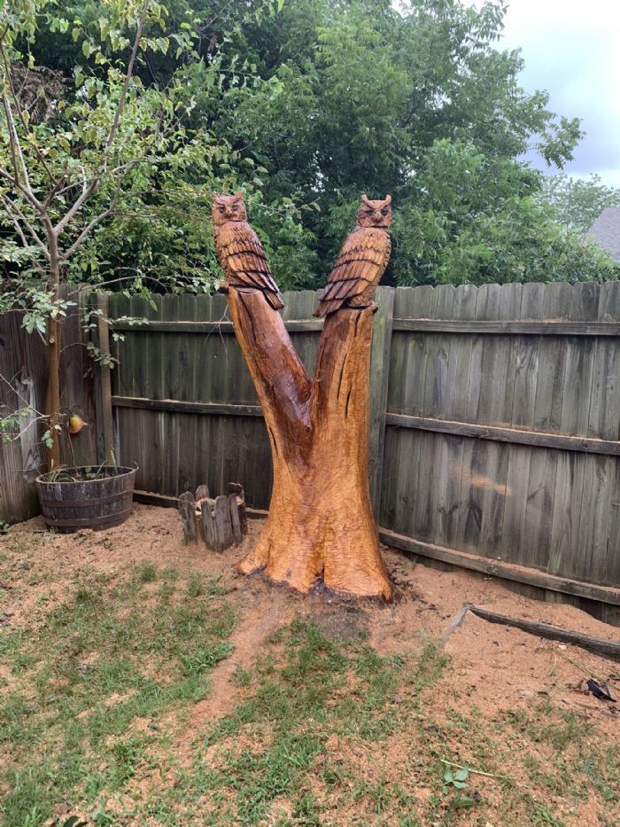 How to Care for Your Outdoor Wood Sculpture